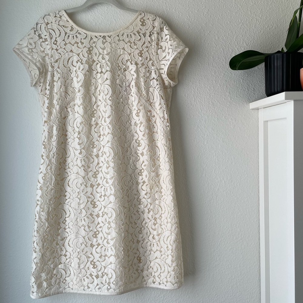 Loft Ivory Cream Lace Short Sleeve Dress Size 10